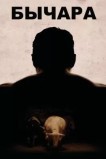 Бычара