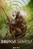 Звуки Земли