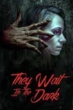 Они ждут в темноте