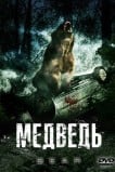 Медведь
