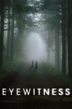 Очевидец