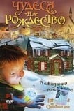 Чудеса на рождество