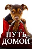 Путь домой