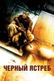Черный ястреб
