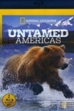 Дикая природа Америки