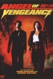 Ангел мести
