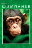 Шимпанзе