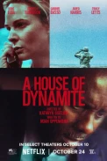 Дом динамита (2025)